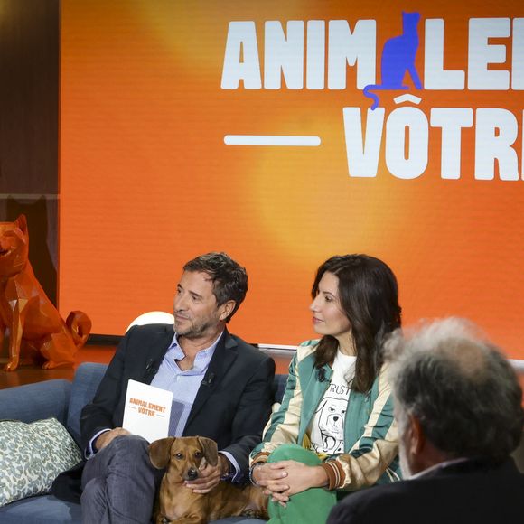 Exclusif - Caroline Roux, sur plateau de la nouvelle émission "Animalement Vôtre" présentée par Bernard Montiel et diffusée le 30 novembre sur France 3, à Paris, France, le 14 octobre 2025. © Jack Tribeca/Bestimage