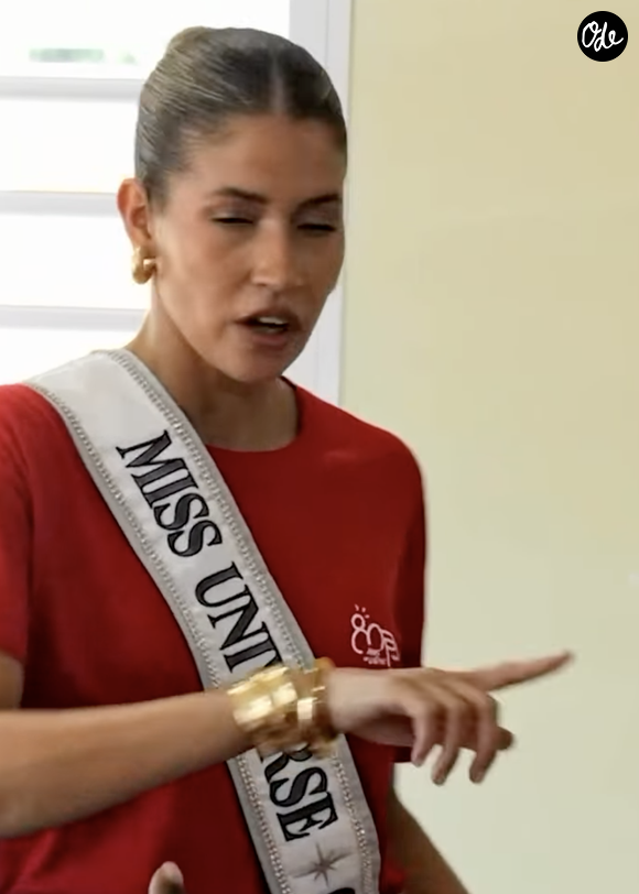 La reine de beauté est notamment connue pour avoir été élue Miss Guadeloupe 2013 puis 4ᵉ dauphine de Miss France 2014. 


Compte Instagram Chloé Deher