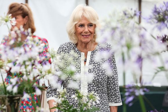 Le roi Charles III d'Angleterre et Camilla Parker Bowles, reine consort d'Angleterre, visitent le Sandringham Flower Show 2025, le 23 juillet 2025. @Chris Radburn/WPA-Pool/Bestimage