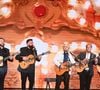 Côté musique, de grands noms comme Daniel Guichard, Salvatore Adamo et Chico Bouchikhi partageront la scène avec leurs enfants.

Exclusif - Daniel Guichard avec Chico et les Gypsies lors de l'enregistrement de l'émission "Famille je vous aime" présentée par Michel Drucker et qui sera diffusée le vendredi 29 mai sur France 3, à Paris, France, le 4 décembre 2025. © Gaffiot-Perusseau/Bestimage
