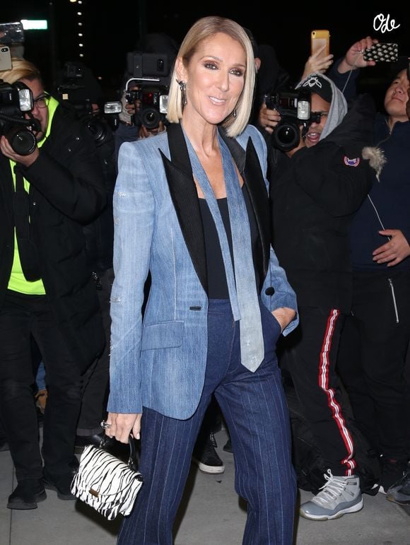 "Céline a apporté une chaleur extraordinaire sur le plateau", a notamment révélé l'artiste sur Instagram

Celine Dion arbore un total look jean veste et cravate à la sortie de son hôtel à New York, le 14 novembre 2019
Crédit : Backgrid USA/ Bestimage