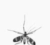 Leur bourdonnement caractéristique suffit souvent à nous mettre en alerte : moustiques, mouches, moucherons ou encore guêpes semblent parfois s'inviter partout. 

Méthode naturelle contre les moustiques @Yogesh Pedamkar Unsplash