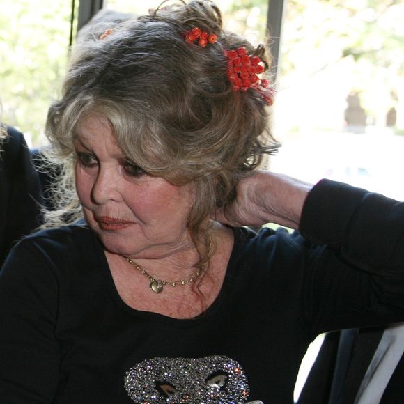 Brigitte Bardot lors des 20 ans de la Fondation Brigitte Bardot à Paris, le 28 septembre 2006.

Photo : Bestimage
