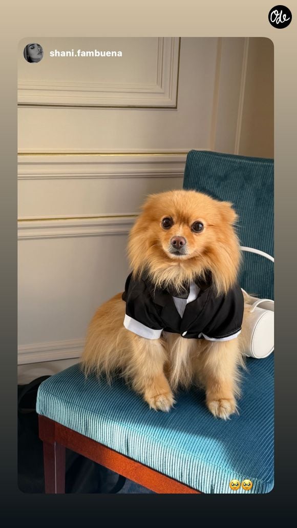 Thylane Blondeau a partagé les coulisses de son mariage avec Benjamin Attal. Capture d'écran Instagram