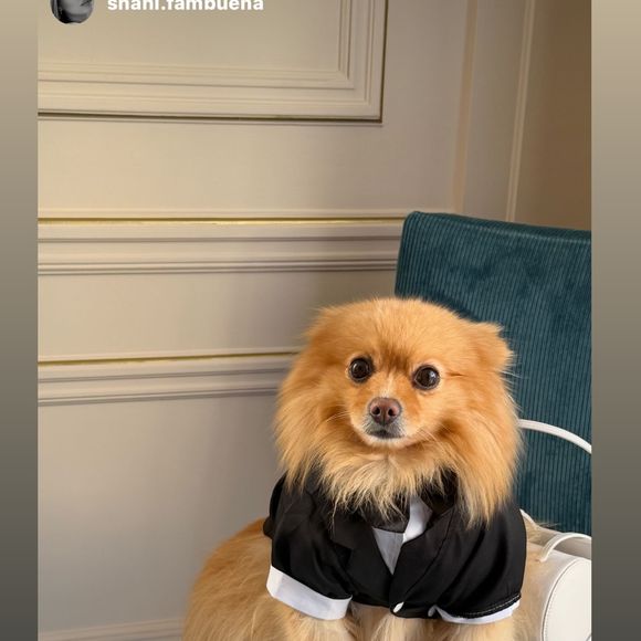 Thylane Blondeau a partagé les coulisses de son mariage avec Benjamin Attal. Capture d'écran Instagram
