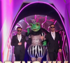 Laurent Ruquier l'a vite démasquée 

La Grenouille dans "Mask Singer 7", capture d'écran TF1