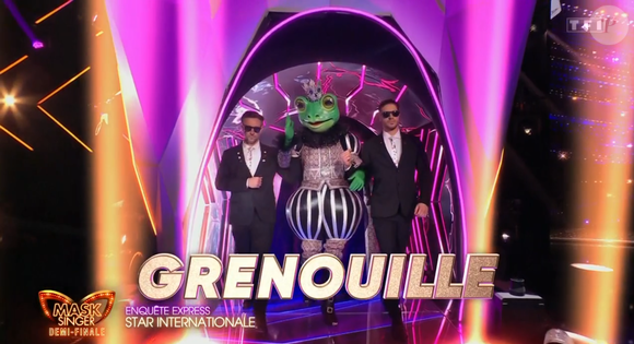 Laurent Ruquier l'a vite démasquée 

La Grenouille dans "Mask Singer 7", capture d'écran TF1