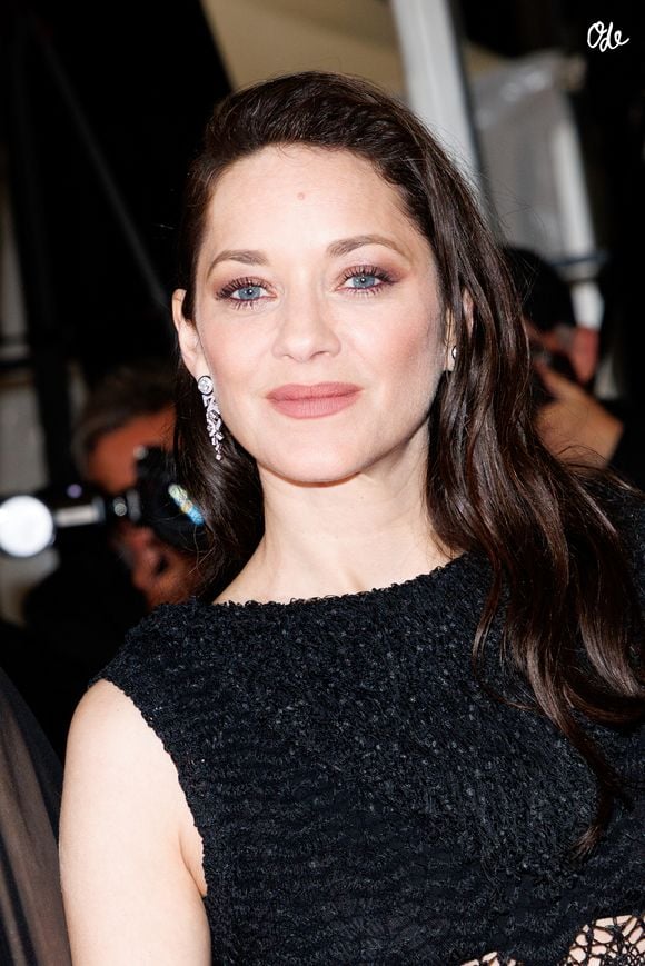 Marion Cotillard - Montée des marches du film « Roma elastica » lors du 79ème Festival International du Film de Cannes, le 20 mai 2026. © Jacovides-Moreau / Bestimage