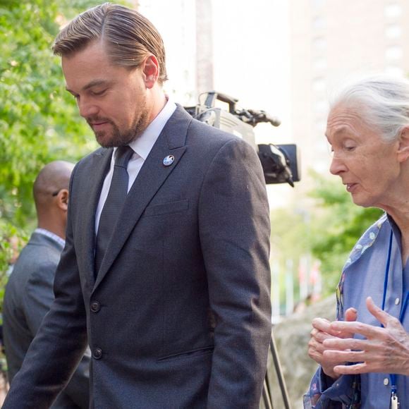Leonardo DiCaprio et Jane Goodall - L'ONU célèbre le 35ème anniversaire de la journée internationale de la paix à New York le 16 septembre 2016. Photo : UN Photo via Bestimage