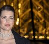 Elle n'est pas la seule à avoir brillé 

Charlotte Casiraghi - Photo Call du « Le Grand Diner du Louvre « lors de la Fashion Week  à Paris le 5 mars 2025. © Olivier Borde /Bestimage