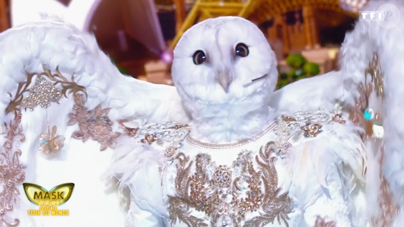 La chouette dans Mask Singer 9, prime du 22 mai - capture d'écran TF1