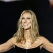 Céline Dion à la Plenitude Arena : ce que son passage a vraiment rapporté aux commerçants du coin