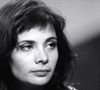 Ce rebondissement relance les soupçons qui pèsent sur l’ex-leader de Noir Désir, déjà condamné en 2003 pour les coups ayant entraîné la mort de Marie Trintignant.

Archives - Marie Trintignant sur le plateau de l'émission TV "Ciel mon mardi!". Le 18 juin 1991 @CEDRIC PERRIN / BESTIMAGE