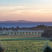 La Château Léoube, lieu d'exception entre vignes et bord de mer dans le sud de la France, attire les plus grandes stars du monde