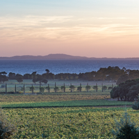 La Château Léoube, lieu d'exception entre vignes et bord de mer dans le sud de la France, attire les plus grandes stars du monde