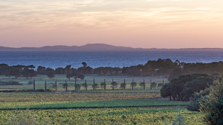 La Château Léoube, lieu d'exception entre vignes et bord de mer dans le sud de la France, attire les plus grandes stars du monde