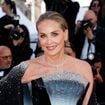 Festival de Cannes 2026 : Sharon Stone et Carla Bruni illuminent le tapis rouge, Iris Mittenaere en fait autant dans une robe blanche très glamour
