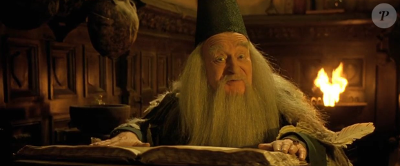 Il s'agit de Pierre Vial qui jouait le rôle de l'enchanteur

Pierre Vial était l'enchanteur dans "Les Visiteurs"
