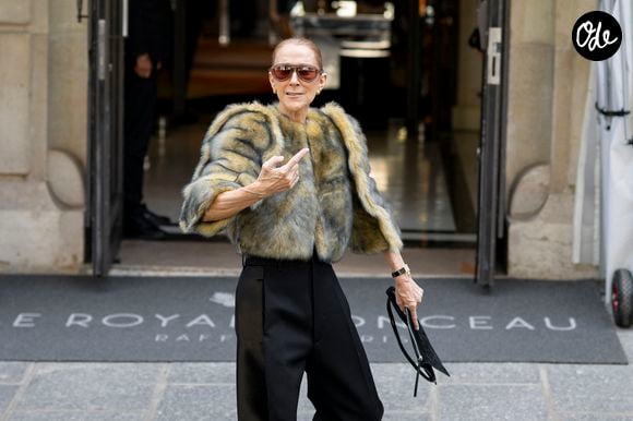 Céline Dion acclamée par ses fans à la sortie de l’hôtel Royal Monceau à Paris, avant de se rendre à la Plenitude Arena de Paris La Défense, pour sa troisième date de concert, le 18 septembre 2026. © Pierre Perusseau / Bestimage