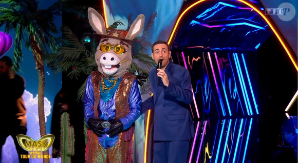 L'Âne dans Mask Singer, prime du 22 mai - capture d'écran TF1