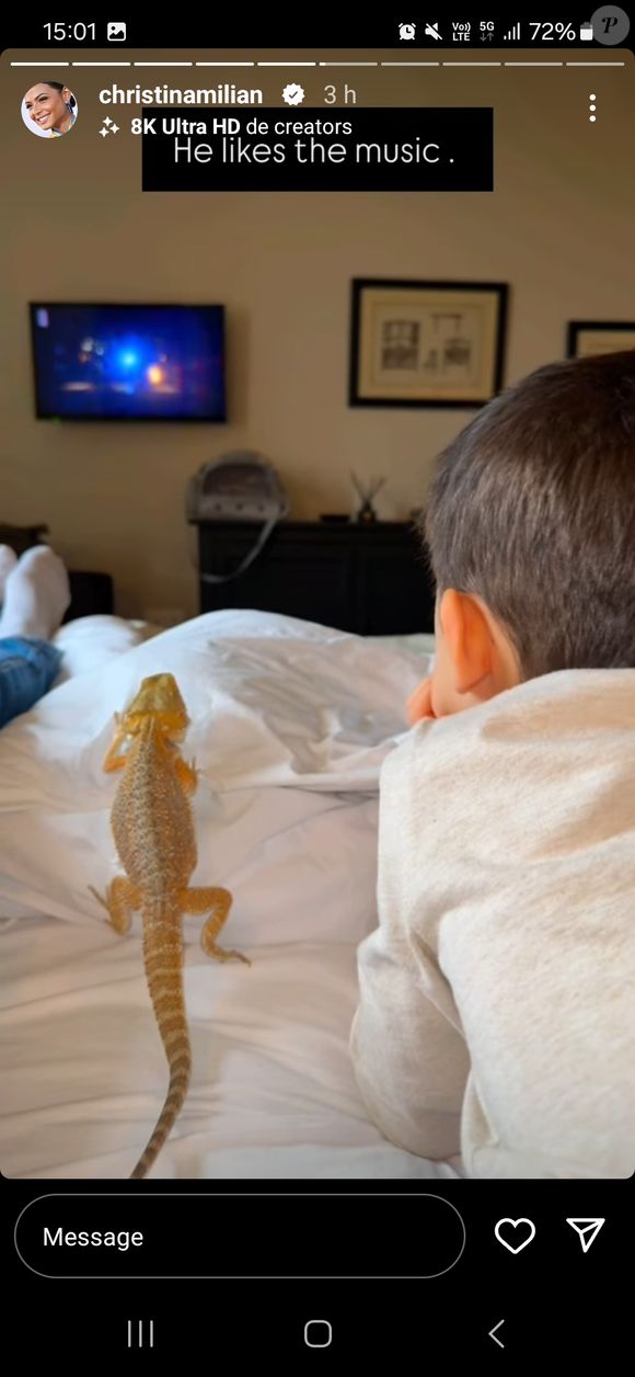 La famille compte un autre membre...

Deadpool, l'iguane et animal de compagnie de la famille de M. Pokora et Christina Milian.