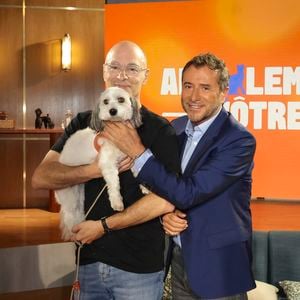 Parmi les premiers invités ont figuré Bernard Werber et Alice Pol, 

Exclusif - Bernard Werber, sur plateau de la nouvelle émission "Animalement Vôtre" présentée par Bernard Montiel et diffusée le 9 novembre sur France 3, à Paris, France, le 13 octobre 2025. © Jack Tribeca/Bestimage