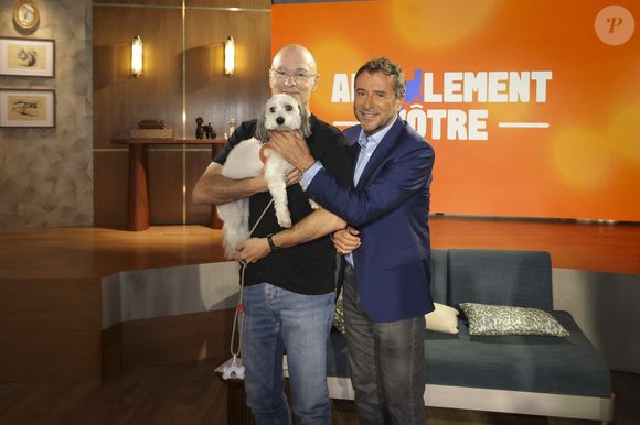 Parmi les premiers invités ont figuré Bernard Werber et Alice Pol, 

Exclusif - Bernard Werber, sur plateau de la nouvelle émission "Animalement Vôtre" présentée par Bernard Montiel et diffusée le 9 novembre sur France 3, à Paris, France, le 13 octobre 2025. © Jack Tribeca/Bestimage