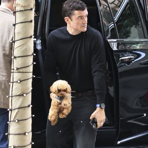 Orlando Bloom dans les rues de New York avec son chien en 2025.
Crédit : Backgrid USA / Bestimage