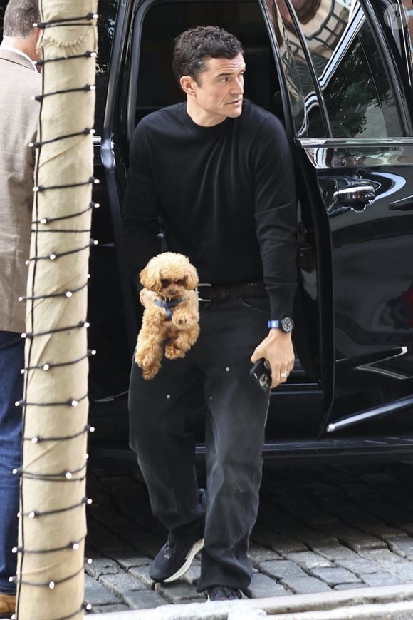 Orlando Bloom dans les rues de New York avec son chien en 2025.
Crédit : Backgrid USA / Bestimage