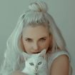 Que signifie, d'un point de vue psychologique, le fait d'avoir beaucoup de chats ?