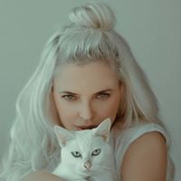 Que signifie, d'un point de vue psychologique, le fait d'avoir beaucoup de chats ?