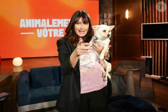 Exclusif - Valérie Perrin sur plateau de l'émission "Animalement Vôtre" présentée par B.Montiel et diffusée le 22 mars 2026 sur France 3, à Paris, France, le 2 décembre 2025. © Jack Tribeca/Bestimage