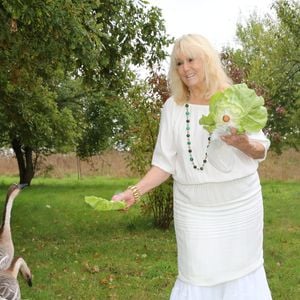 Exclusif - Mylène Demongeot - Mylène Demongeot a fêté son 82ème anniversaire avec ses amis dans sa ferme en Mayenne à Châtelain le 29 septembre 2017. © Stéphane Mulys/Bestimage
