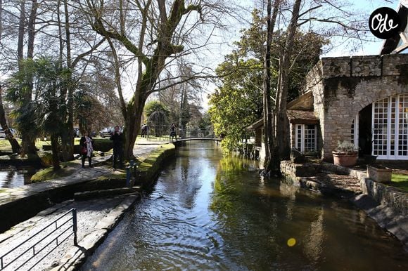 Le rachat, estimé à 11 millions d’euros auxquels s’ajouteraient au moins 4,5 millions de travaux, n’est pas encore signé.

Rassemblement pour les 40 ans de la mort de Claude François à l'église de Dannemois et au cimetière puis visite du moulin ou il habitait le 11 mars 2018. © Agence/Bestimage