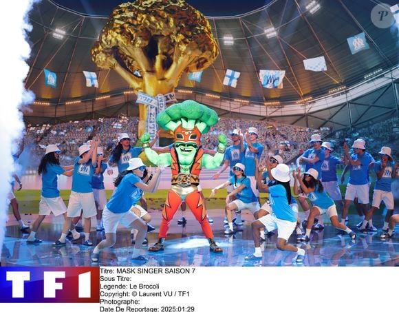 Le Brocolis dans la saison 7 de "Mask Singer" sur TF1 © Laurent VU / TF1