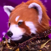 Mask Singer 2025 : Les premiers indices sur le Panda Roux et les premières pistes...