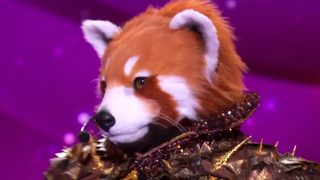 Mask Singer 2025 : Les premiers indices sur le Panda Roux et les premières pistes...