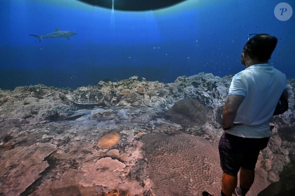 Visite inaugurale de "La Baleine", le temps de l'UNOC, la conférence de l'ONU sur les océans, en présence de Christian Estrosi, le maire de Nice, Olivier Poivre d’Arvor, l'ambassadeur pour les pôles et les enjeux maritimes au Ministère de l’Europe et des Affaires étrangères, Laurent Hottiaux, le nouveau préfet des Alpes-Maritimes, Ashok Adicéam, le délégué général de l'UNOC en charge du projet, Richard Chemla. l'adjoint délégué à la transition écologique et énergétique, à la santé et au bien-être, et Olivier Bettati, délégué général de la mission UNOC à la mairie de Nice, au Palais des expositions à Nice, le 2 juin 2025. © Bruno Bebert/Bestimage