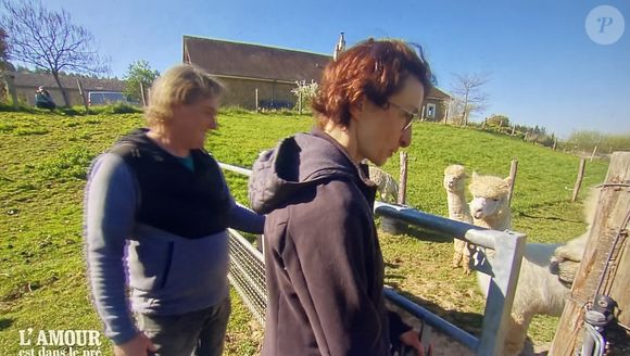 L'éleveuse d'alpagas passe un peu de temps seul à seul avec chacun de ses prétendants, et elle a choisi un moment tout particulier et cocasse pour cela.

Géraldine avec ses prétendants Jérôme et Yannick dans "L'amour est dans le pré"