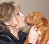 "Je reçois énormément de courriers de gens préoccupés... Il faudrait que les maires, notamment, pensent à offrir aux chiens errants ou abandonnés, aux oiseaux et à toutes les espèces de quoi s’abreuver par ces fortes chaleurs !" a-t-elle déclaré.
Brigitte Bardot, légende du cinéma français et fervente défenseure des animaux, visite un refuge animalier à Nice, dans le sud de la France, le 28 décembre 2005, où des chiens hongrois trouvés dans un camion clandestin ont été amenés. Les 146 jeunes chiens ont été découverts par la police française lors d'un contrôle douanier dans les Alpes-Maritimes, alors qu'ils étaient exportés de Hongrie vers l'Espagne pour trafic illégal. Photo : ABACAPRESS.COM