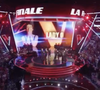 À seulement 18 ans, la jeune Suissesse a décroché le prestigieux trophée de cette 15e saison, devançant CJM’S, Hugo et Tessa B. 

"The Voice" 30 mai 2026 TF1