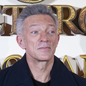 Les fans ont accueilli l'annonce avec beaucoup d'enthousiasme.

Vincent Cassel - Première du film "Les Trois Mousquetaires : D'Artagnan" à Madrid. Le 12 avril 2023