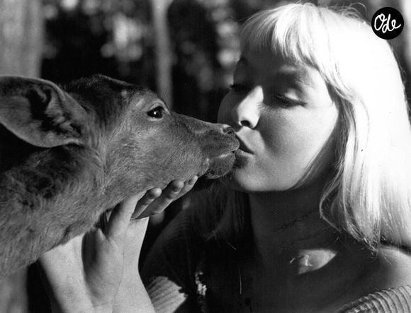 Dec. 16, 1975 - Actress Marina Vlady (Credit Image: © Keystone Press Agency/ZUMA Press Wire)