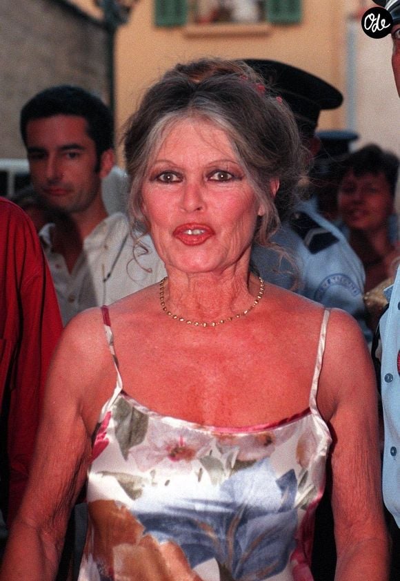 BB avait fait de cet appartement sa “campagne” à Paris

Archives - Brigitte Bardot est morte à 91 ans.
Crédit : Backgrid UK/ Bestimage
