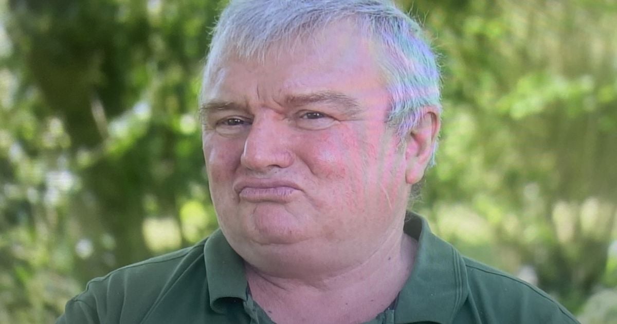 « Avec Céline, on mange… » : Pascal (L’amour est dans le pré) s’explique sur sa nouvelle silhouette amincie