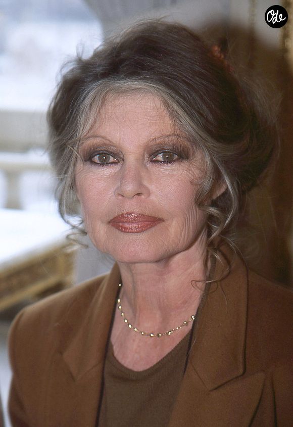 Ce trois-pièces de 70 m² est mis aux enchères en ligne jusqu'au vendredi 12 juin à 13h, avec une mise à prix fixée à 1 050 000 euros. 

Archives - Brigitte Bardot est morte à 91 ans.
Crédit : JLPPA / Bestimage