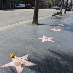 L'annonce a été faite par la Chambre de commerce d’Hollywood. Chapeau l'artiste !

Hollywood Boulevard à Los Angeles, le 11 juin 2025.

Photo : Backgrid USA / Bestimage


Pictured: The Beach Boys,  Brian Wilson