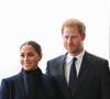 A noter que le prince Harry a touché 13 millions de livres (soit 16 millions d'euros) avec son frère aîné de la part de leur défunte mère défunte Lady Diana, tragiquement décédée en 1997. 

Le prince Harry, duc de Sussex et Meghan Markle, duchesse de Sussex, en visite à New York, le 23 septembre 2021. © Taidgh Barron/Zuma Press/Bestimage
