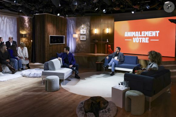 Hugo Clément, Bernard Montiel et Oli sur plateau de l'émission "Animalement Vôtre" présentée par B.Montiel et diffusée le 1er février 2026 sur France 3, à Paris, France, le 3 décembre 2025. © Jack Tribeca/Bestimage