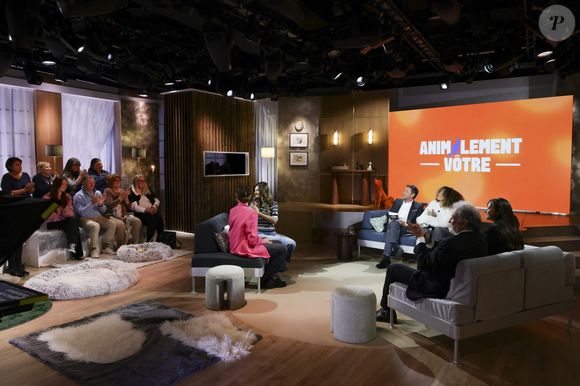 Un premier rendez-vous à ne pas manquer ce dimanche 9 novembre sur France 3

Exclusif - Alice Pol, sur plateau de la nouvelle émission "Animalement Vôtre" présentée par Bernard Montiel et diffusée le 9 novembre sur France 3, à Paris, France, le 13 octobre 2025. © Jack Tribeca/Bestimage
